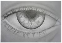 Canova Concorso Shoah Foto 8