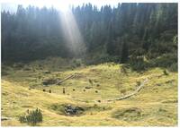 Cimiteri militari Foto 3