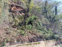 Frana Torrebelvicino Foto 2