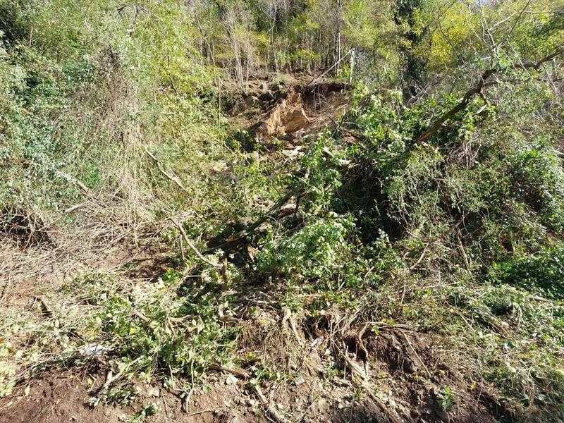 Frana Torrebelvicino