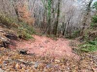 SP246 Recoaro frana Foto 6